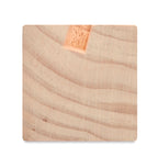 Suport birou cu kit de semințe