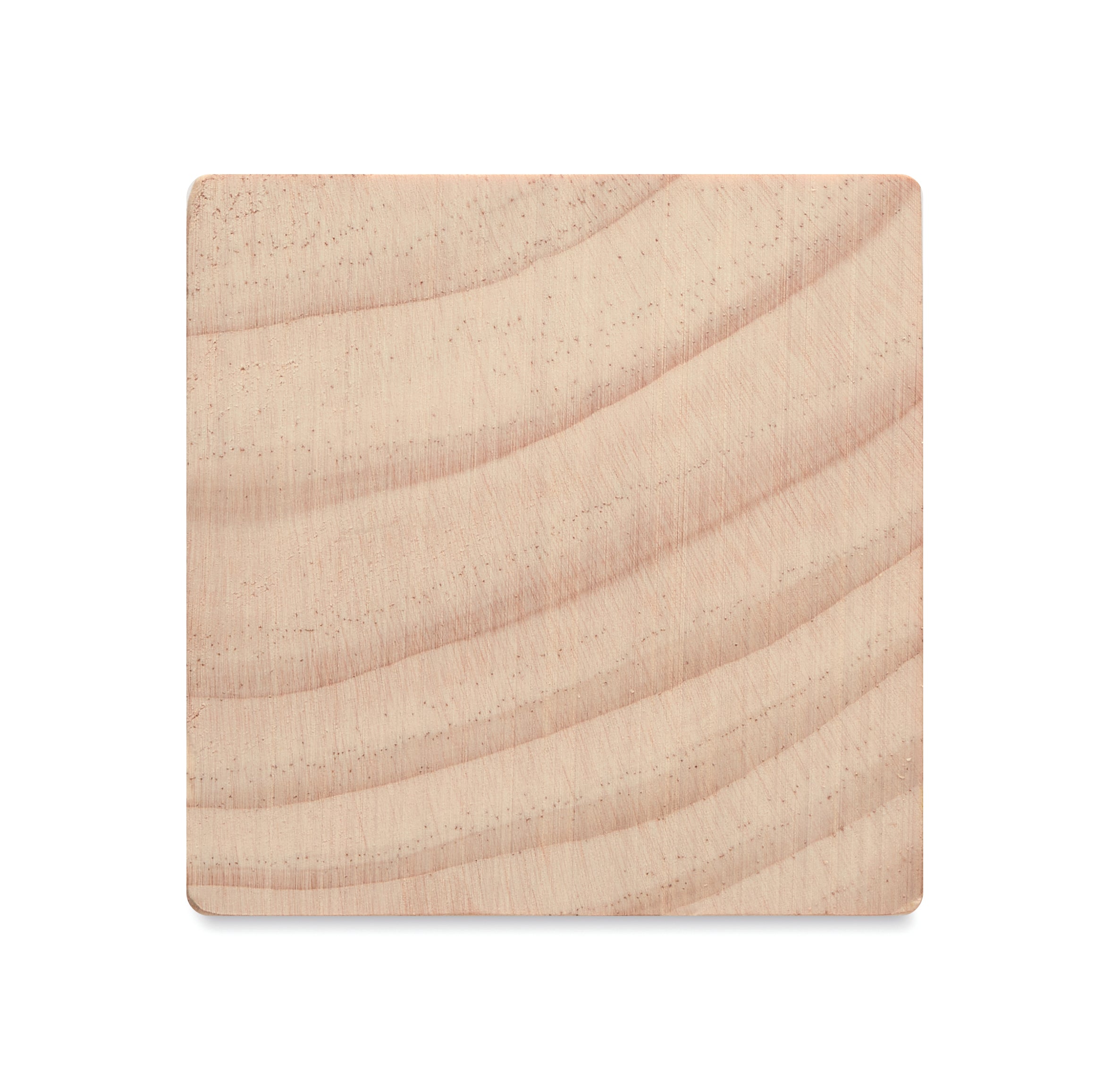 Suport birou cu kit de semințe