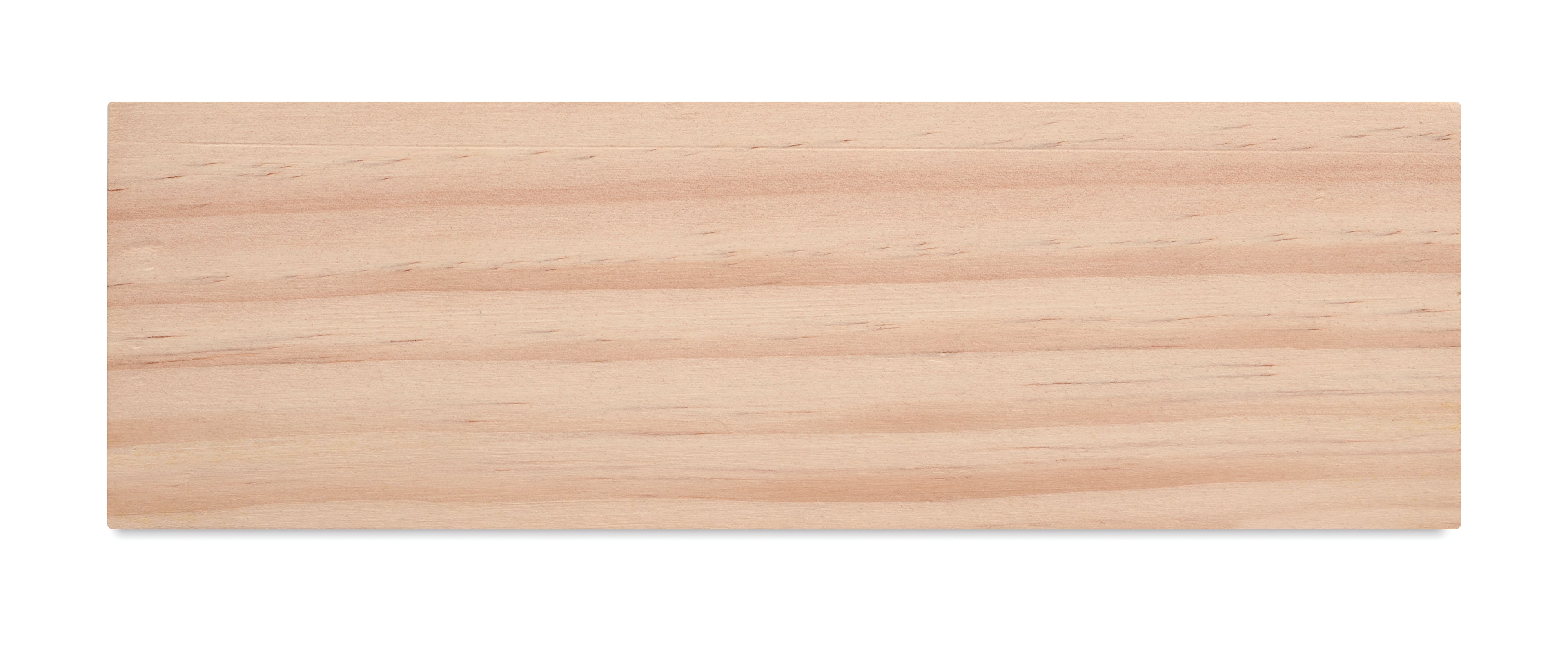 Suport birou cu kit de semințe