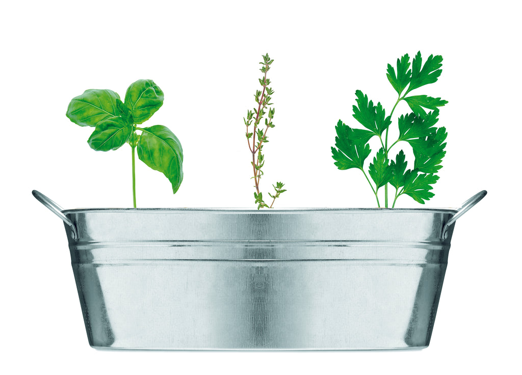 Ghiveci din zinc cu semințe