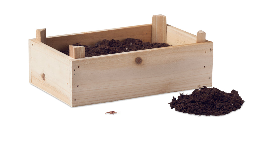 Kit căpșuni în cutie de lemn