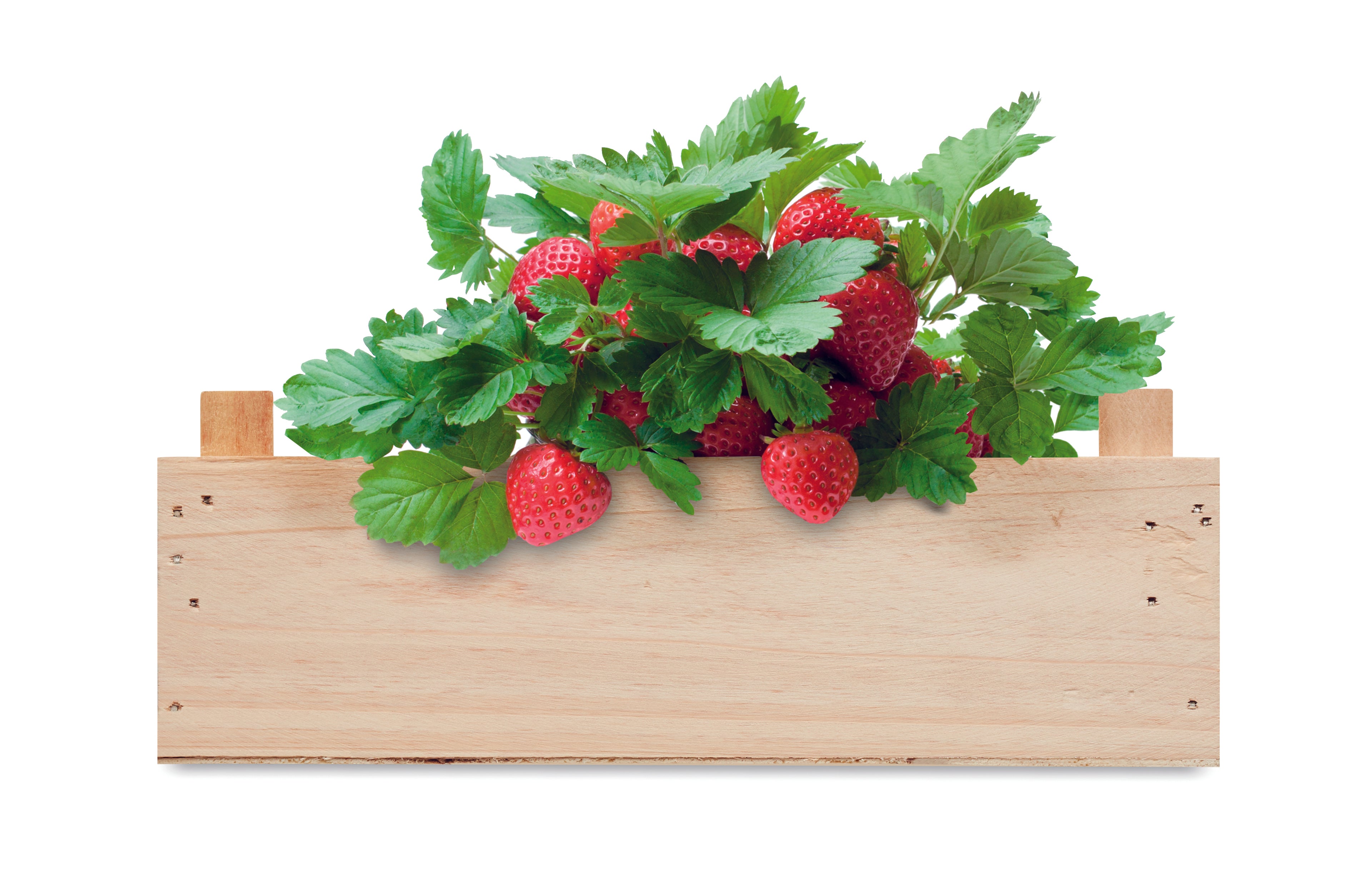 Kit căpșuni în cutie de lemn