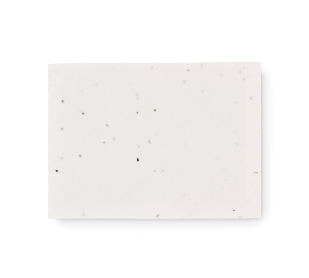 Set notițe hârtie cu semințe