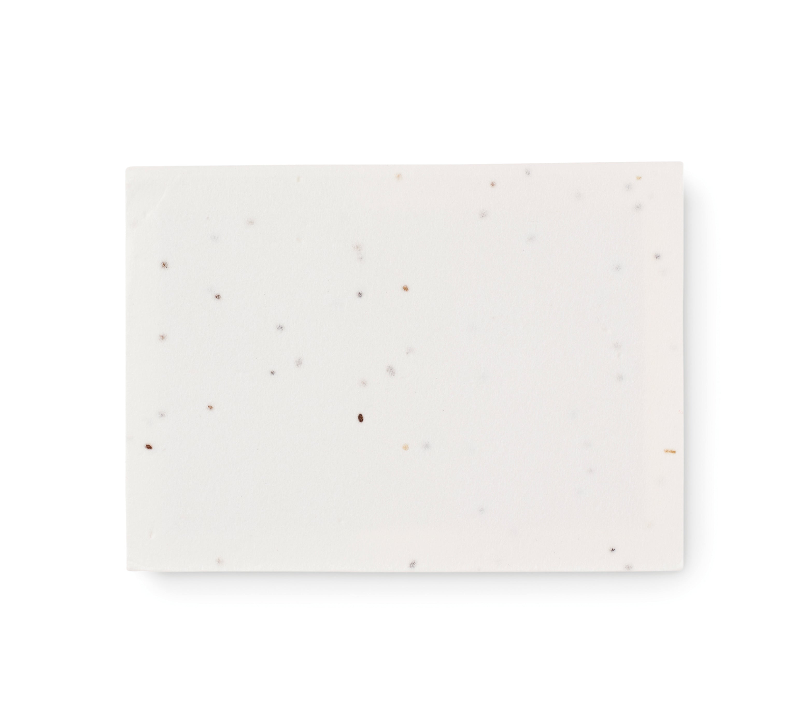 Set notițe hârtie cu semințe