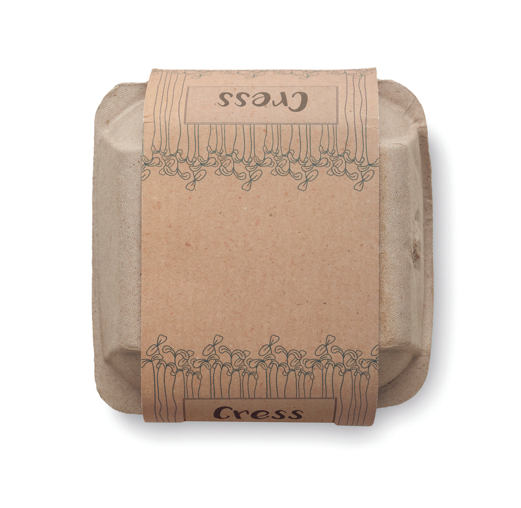 Semințe in carton de ouă