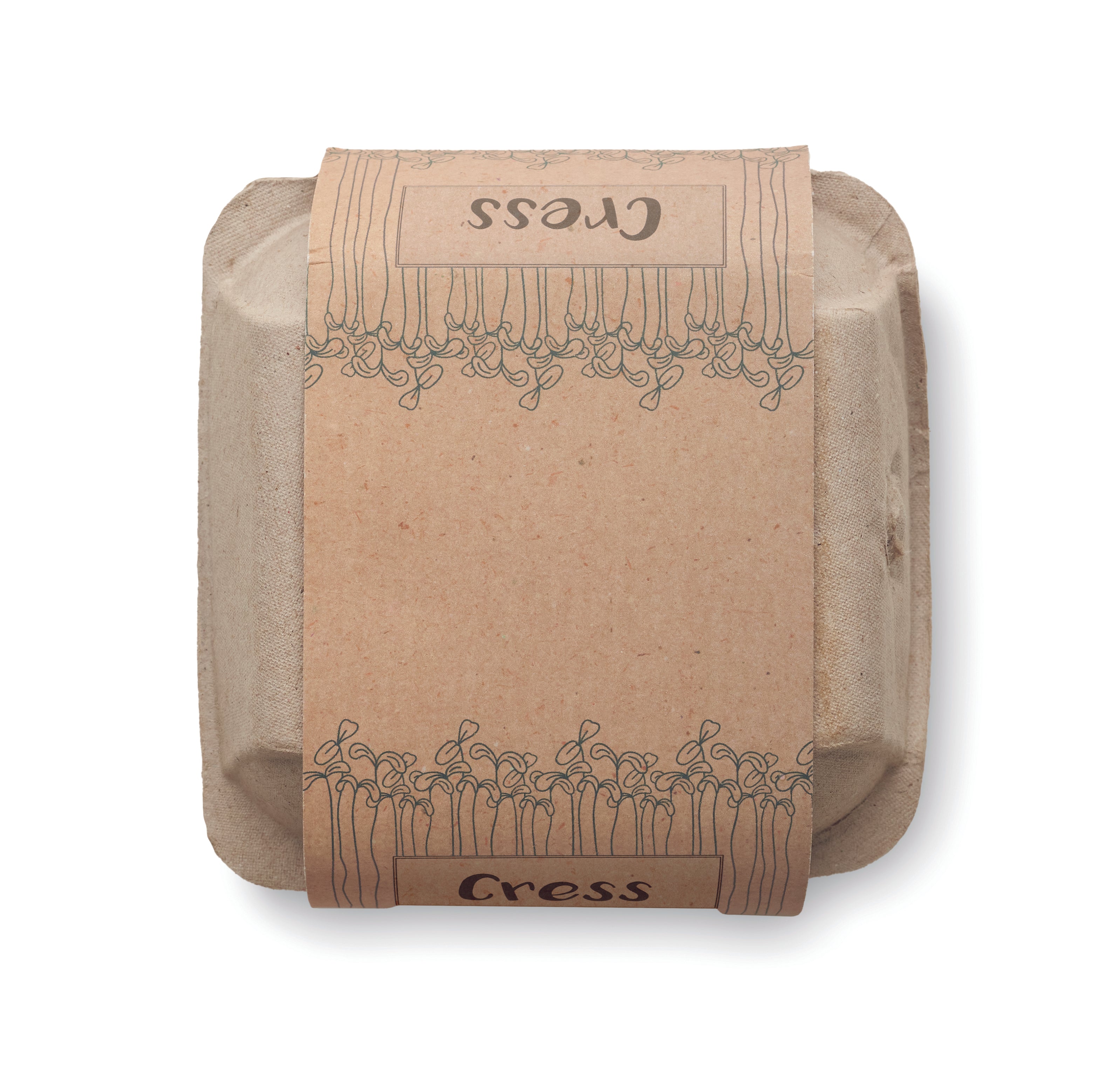 Semințe in carton de ouă