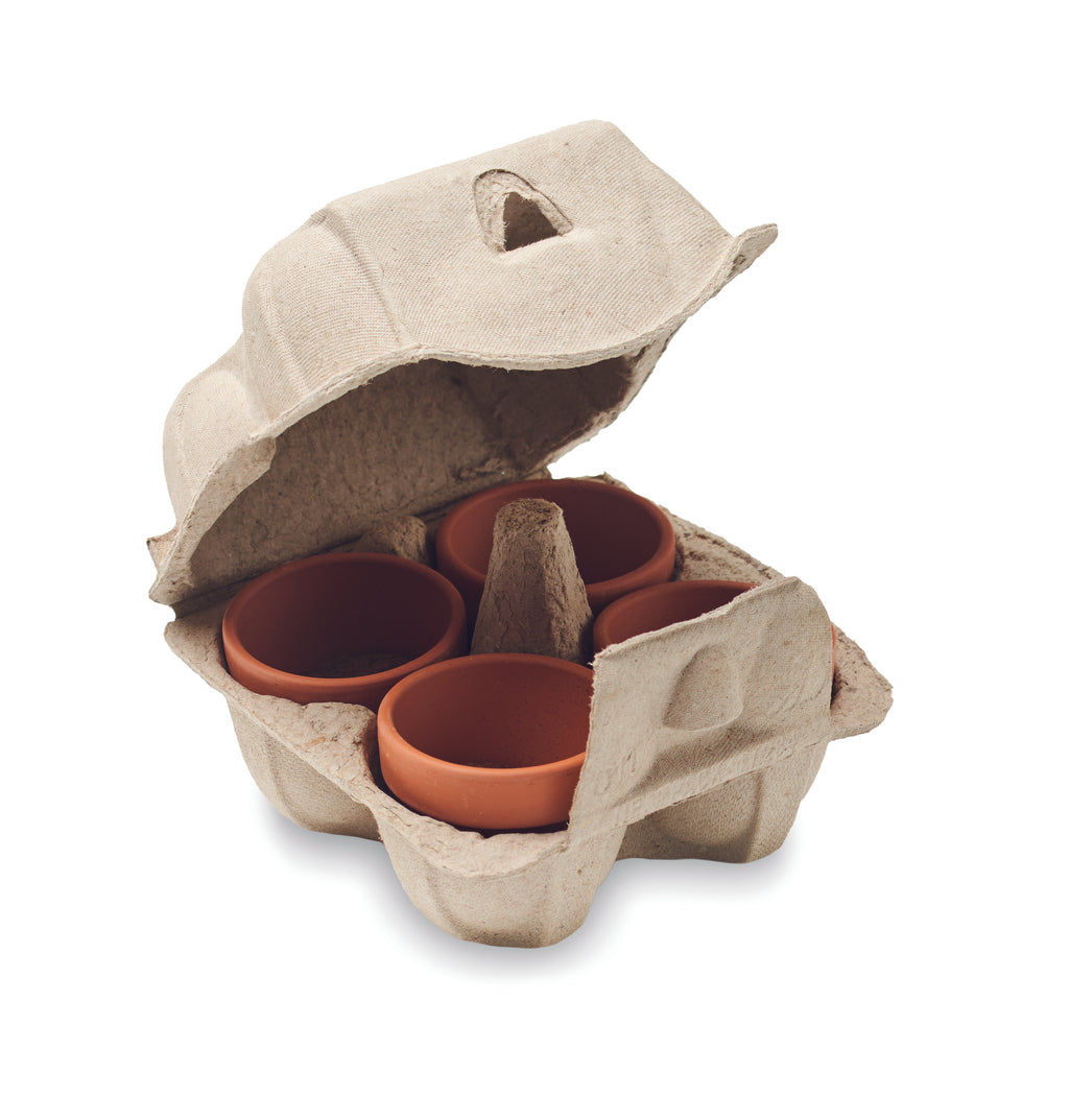 Semințe in carton de ouă