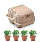 Semințe in carton de ouă