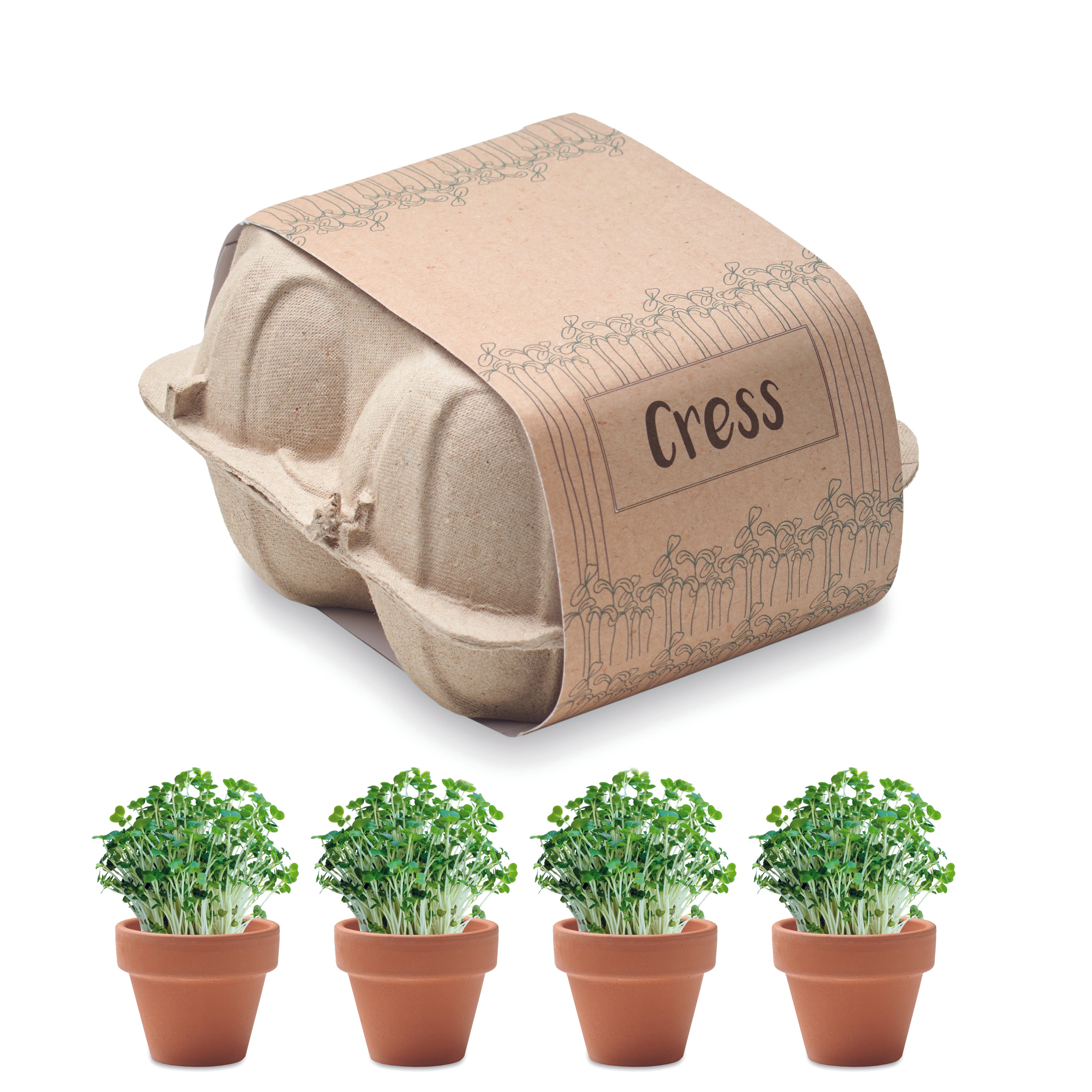 Semințe in carton de ouă