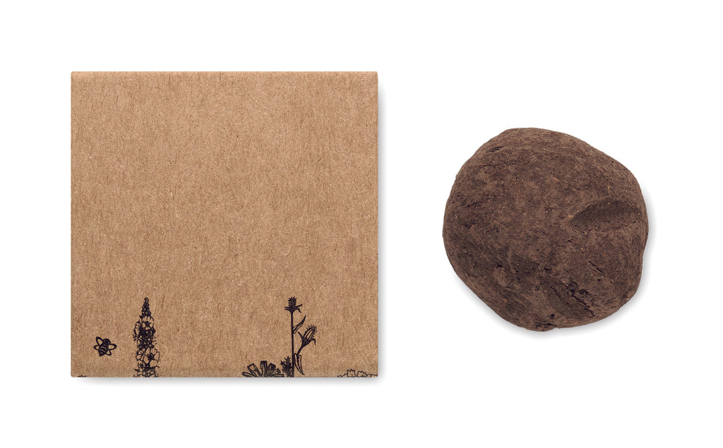 Bomba de semințe, flori albine