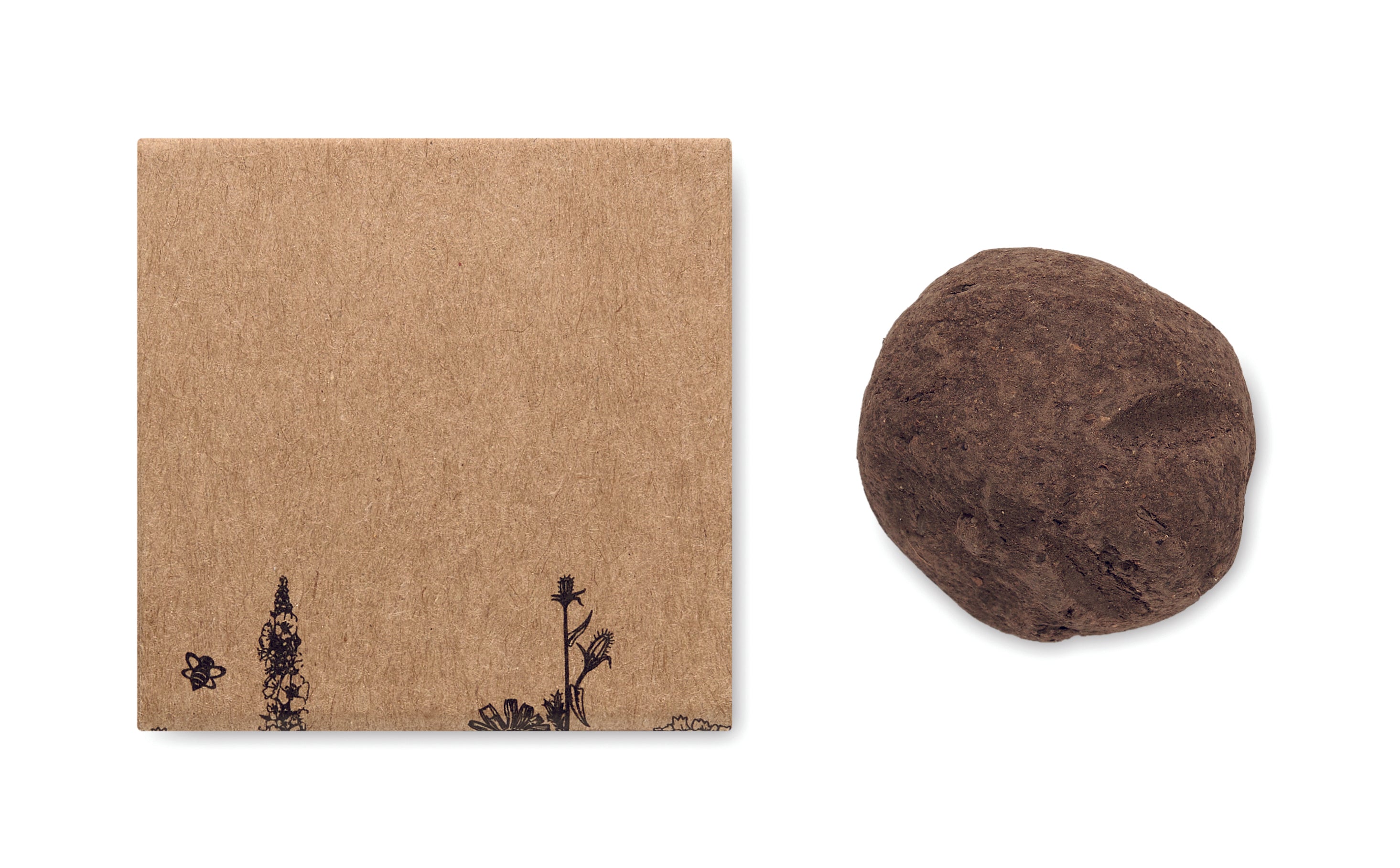 Bomba de semințe, flori albine