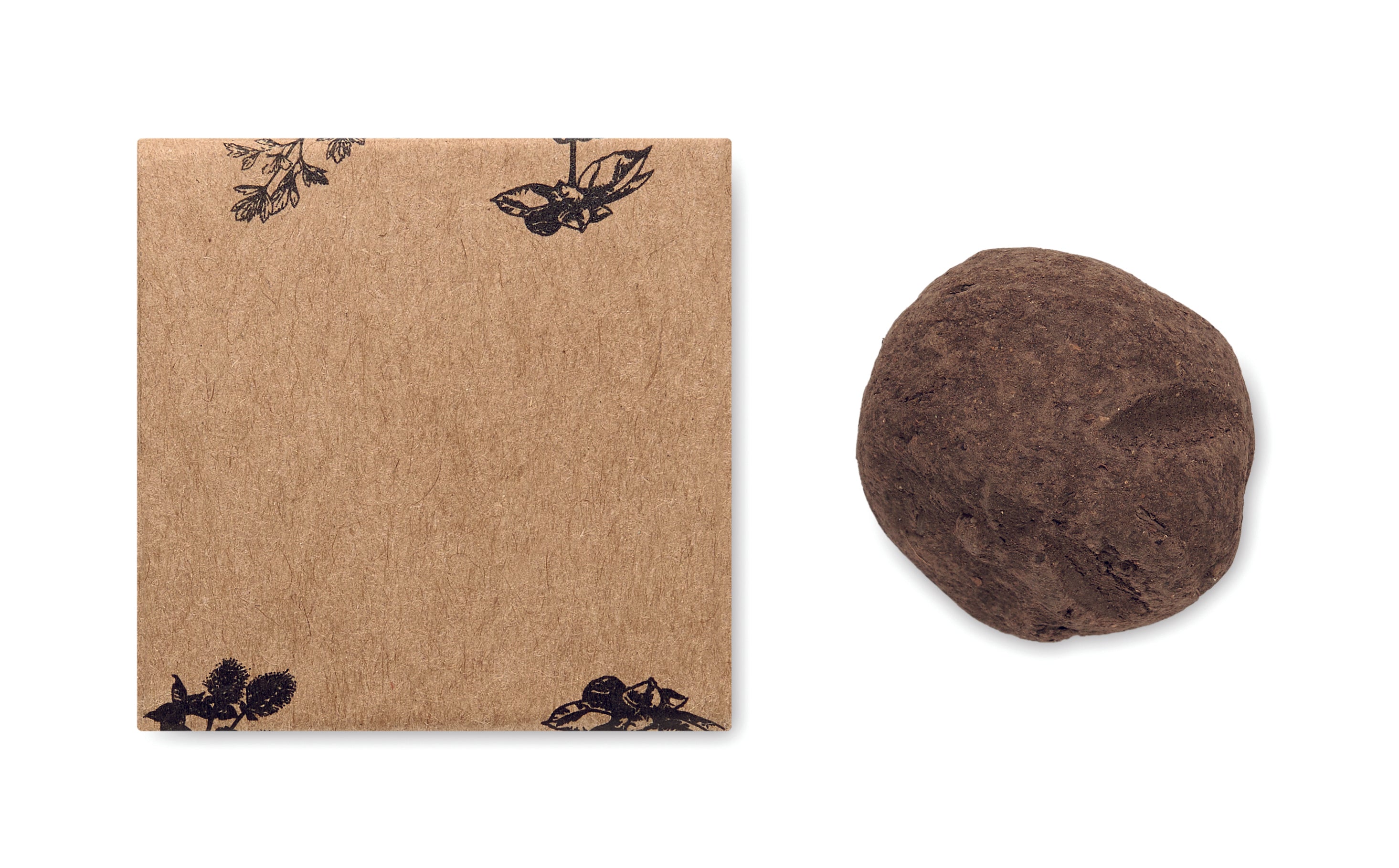 Bomba semințe, pl. medicinale