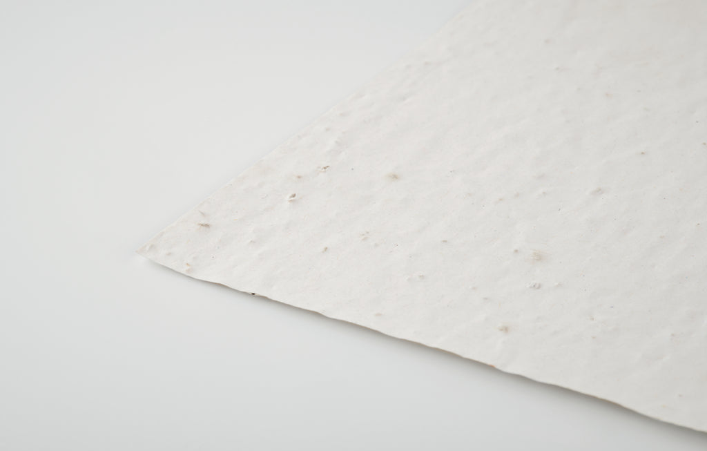 Foaie A4 cu semințe