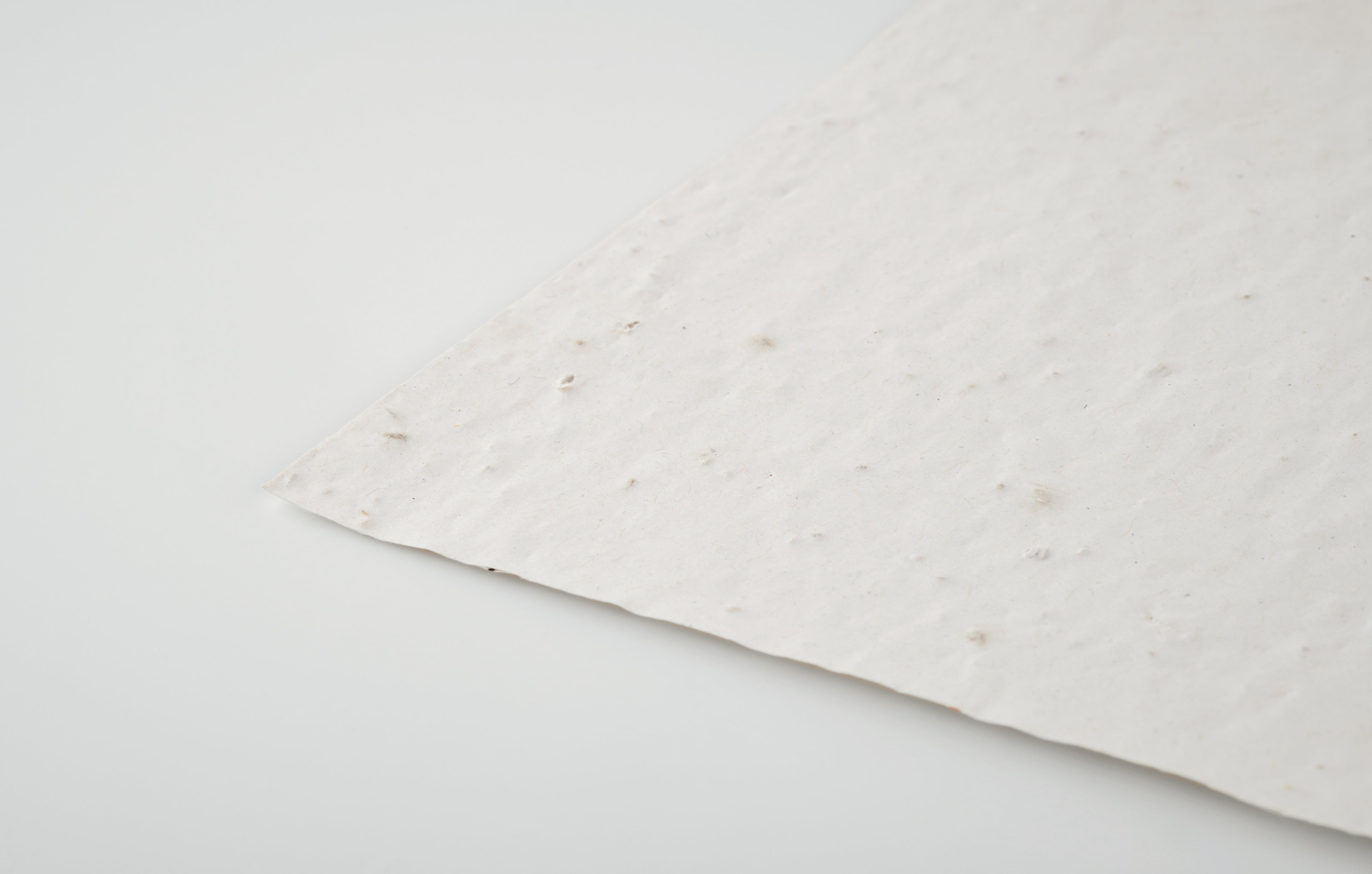 Foaie A4 cu semințe