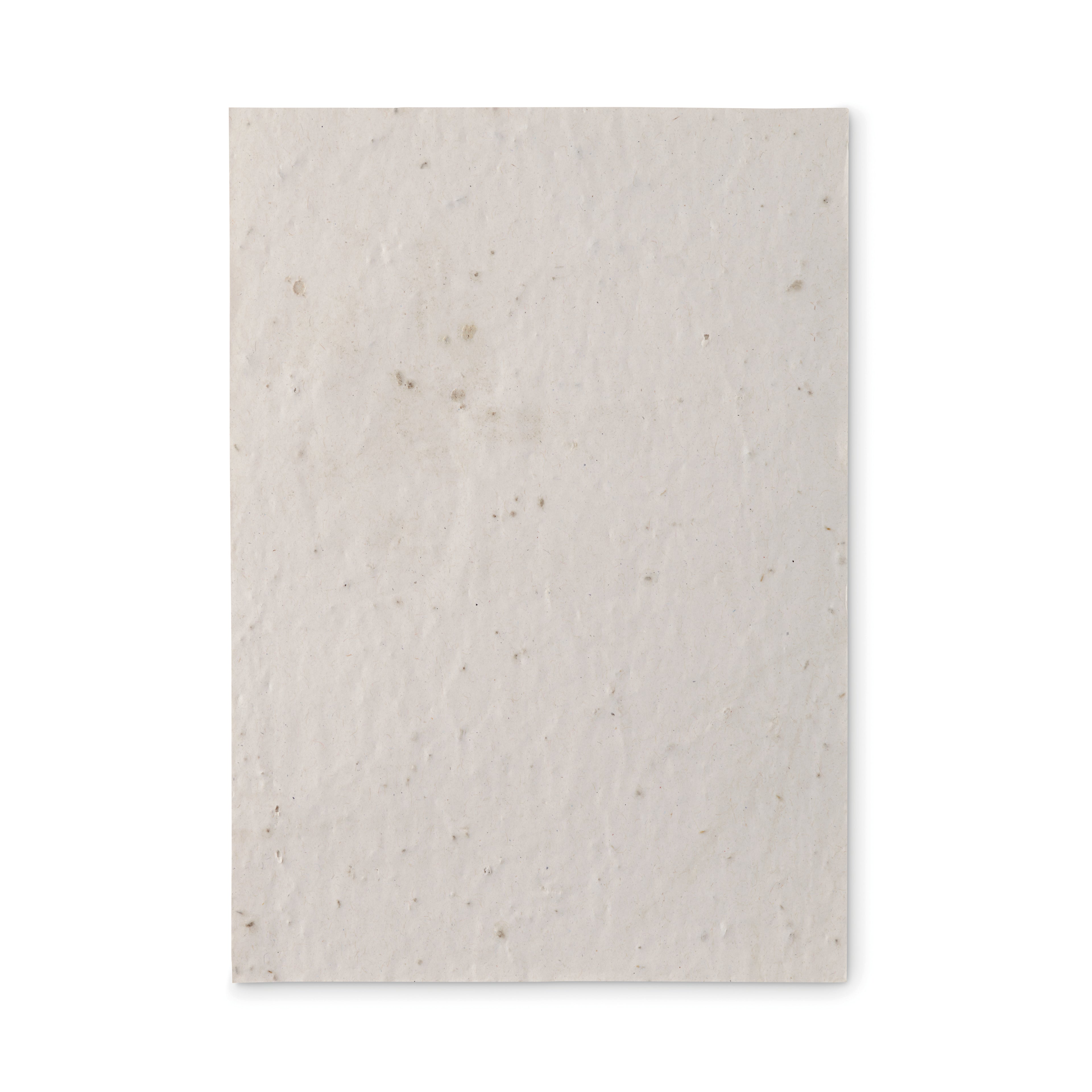 Foaie A5 cu semințe