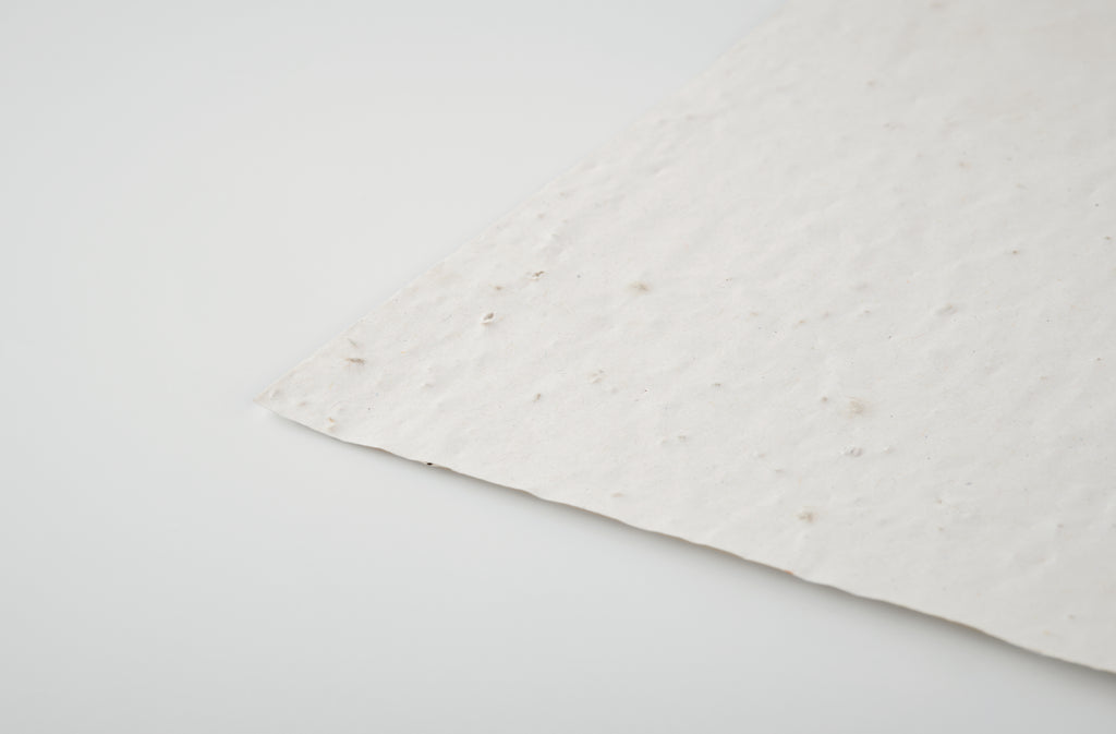 Foaie A5 cu semințe