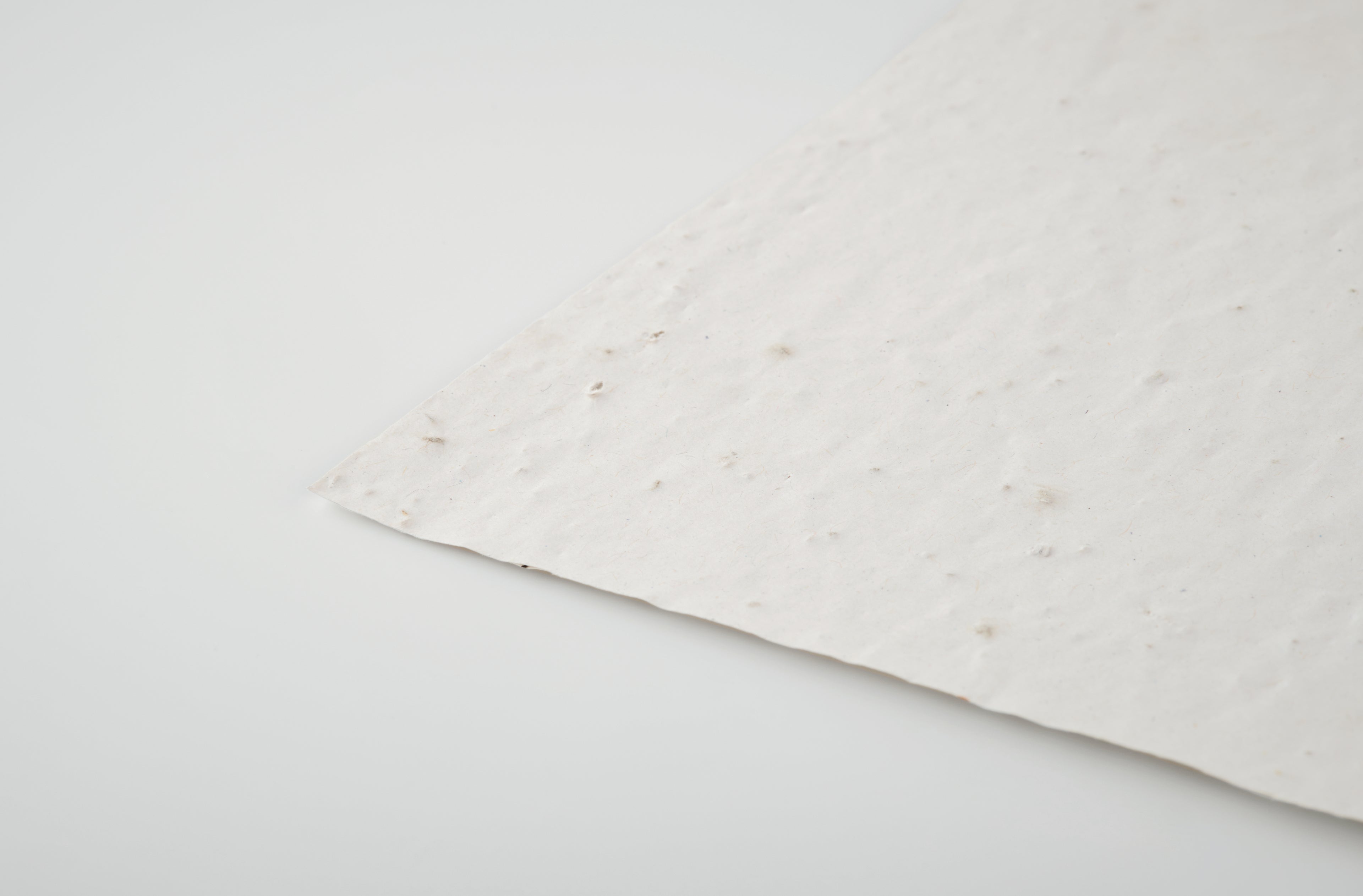 Foaie A5 cu semințe