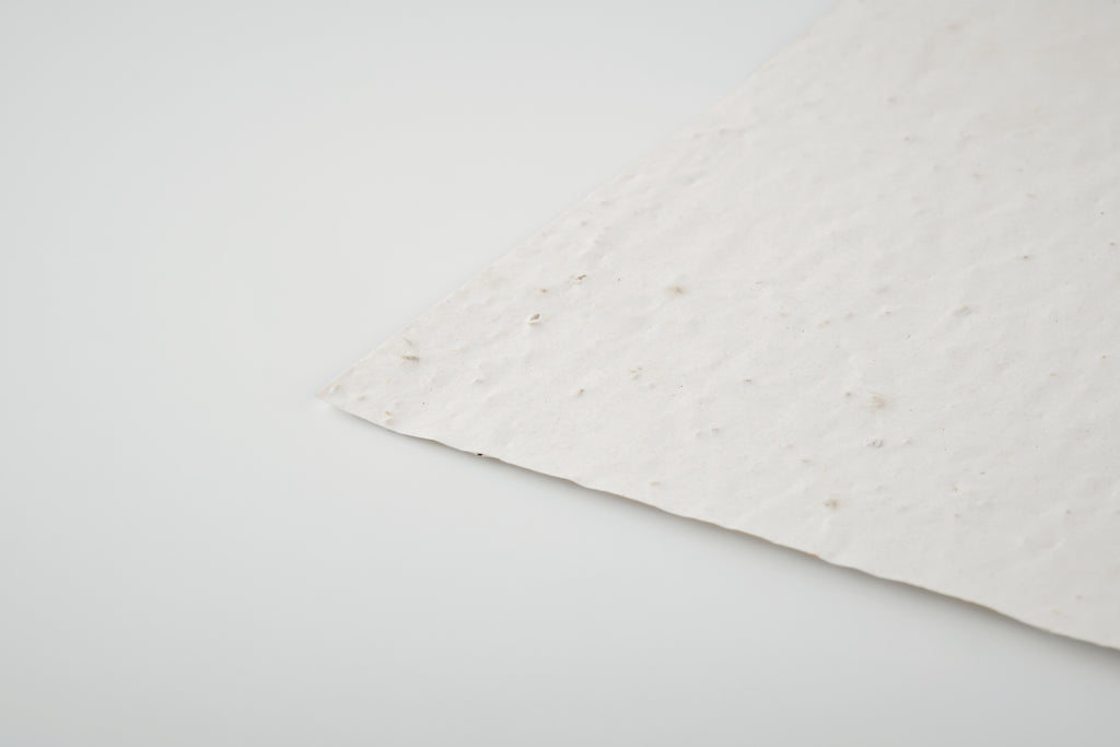 Foaie A6 cu semințe