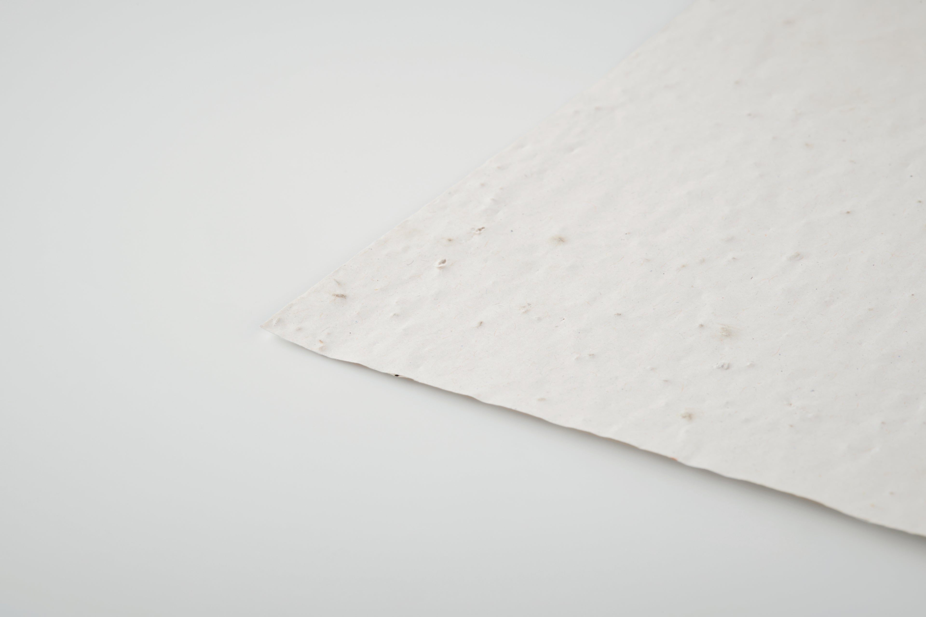 Foaie A6 cu semințe