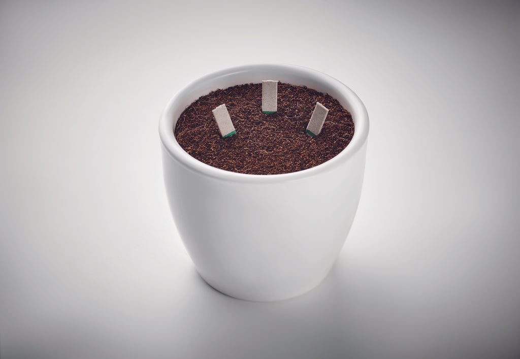 Bețeisoare cu semințe