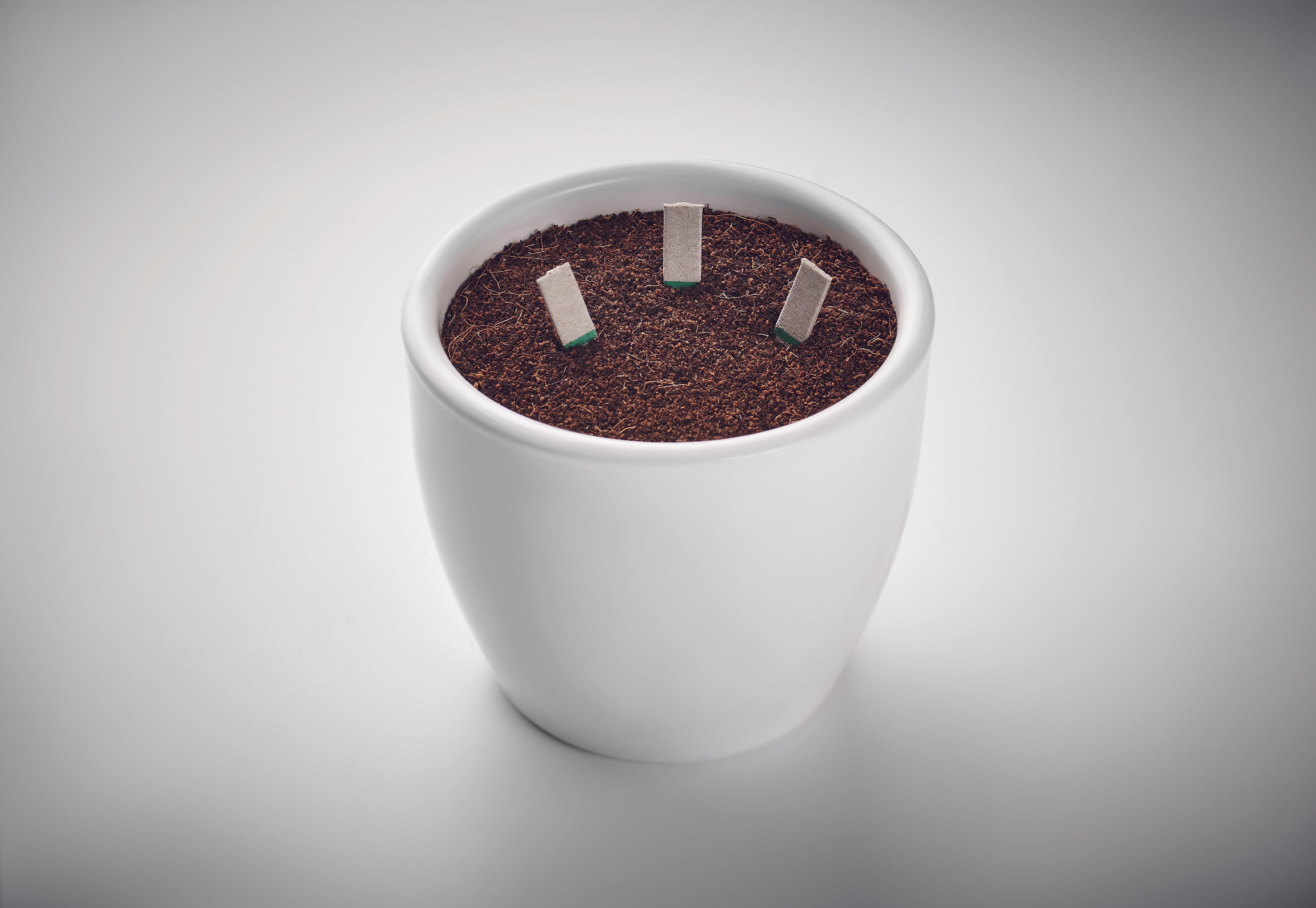 Bețeisoare cu semințe