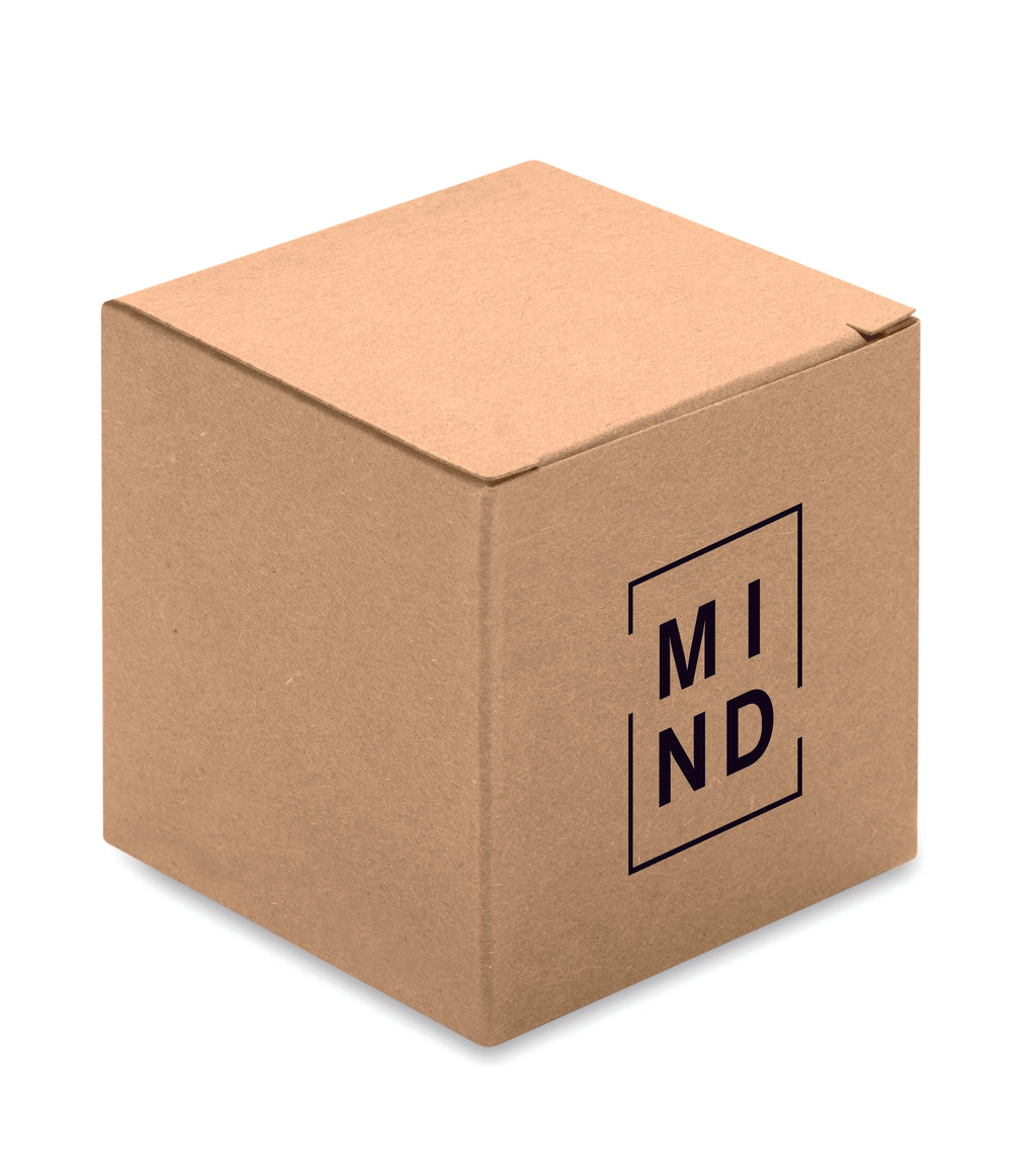 Puzzle de bambus brainteaser